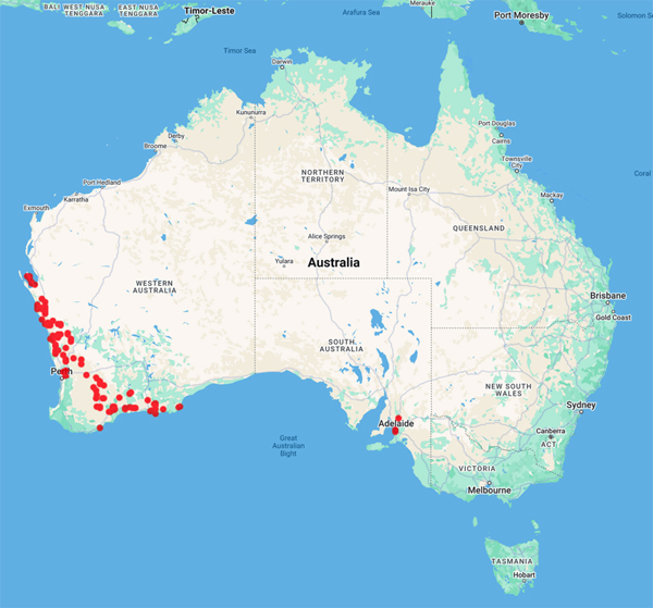 Ivan Holliday collections map