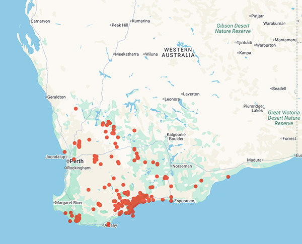 collecting locality map for 'McQuoid, N.'