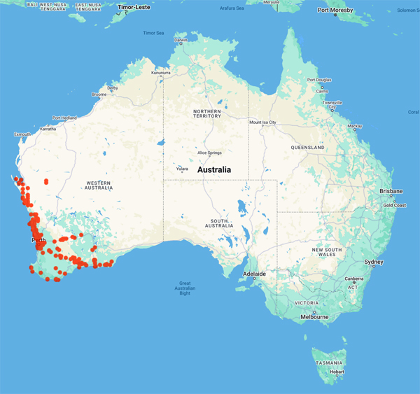 collecting locality map for 'Spjut, R.'