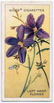 cigarette card front