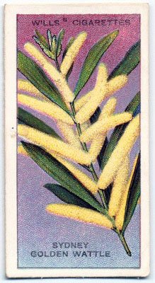 cigarette card front