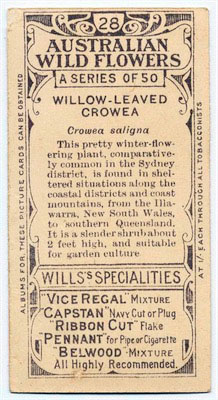 cigarette card back