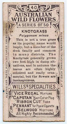 cigarette card back