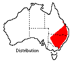 distribution map