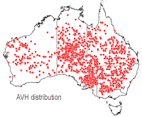 Eremophila longifolia distribution