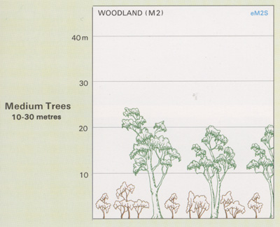 Woodland structure