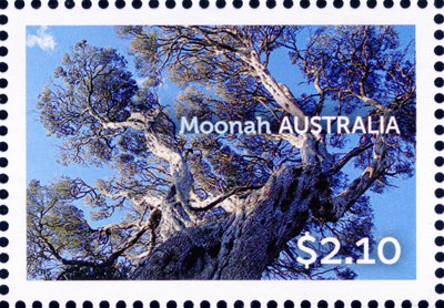 stamp: Melaleuca lanceolata